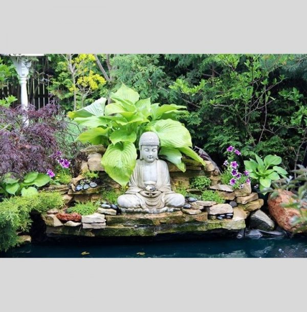 Trang trí cảnh quan sân vườn