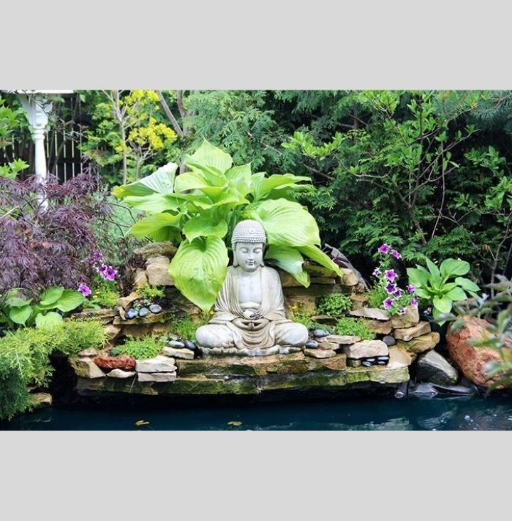 Trang trí cảnh quan sân vườn
